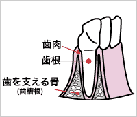 初期状態